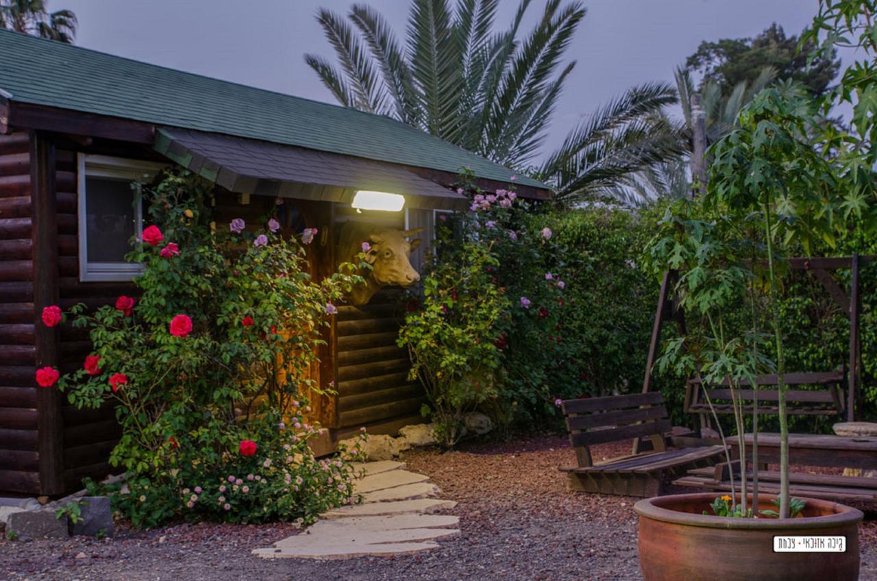 Moon Light Yavne'El Villa Exteriör bild