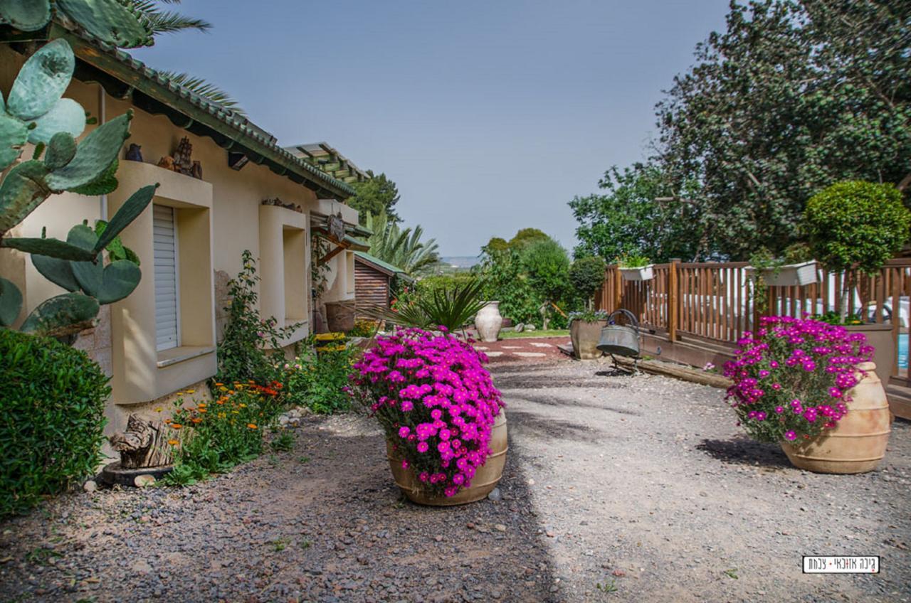 Moon Light Yavne'El Villa Exteriör bild